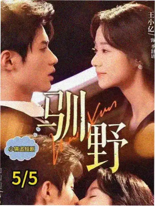 人间烟火录 年代剧全集高清免费观看