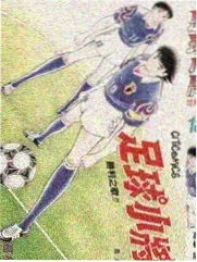 城市探险家 户外真人秀全集在线观看